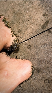 Megha Gupta feet photo thumbnail