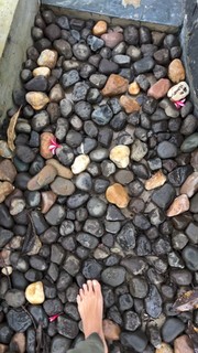 Megha Gupta feet photo thumbnail