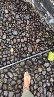 Megha Gupta feet photo thumbnail