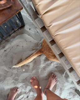 Megha Gupta feet photo thumbnail