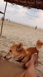 Megha Gupta feet photo thumbnail