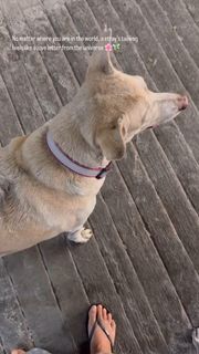 Megha Gupta feet photo thumbnail