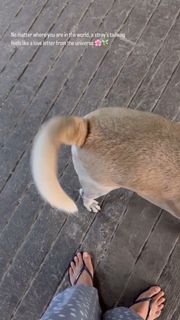 Megha Gupta feet photo thumbnail