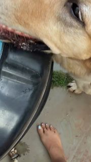 Megha Gupta feet photo 18