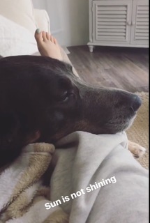 Meghan Heffern feet photo 8