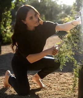 Meghan Markle feet photo 15