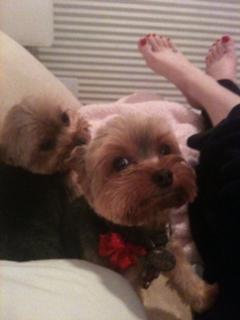 Meghan McCain feet photo thumbnail