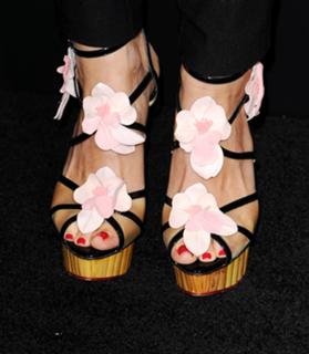 Meghan Ory feet photo thumbnail