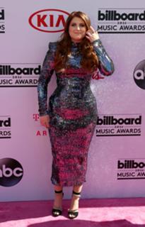 Meghan Trainor feet photo thumbnail