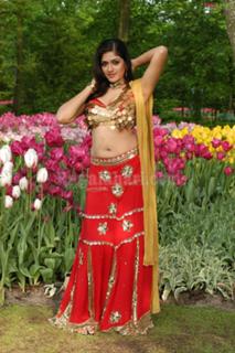 Meghana Raj feet photo 18