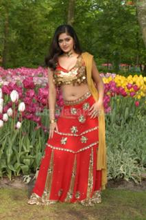 Meghana Raj feet photo 10