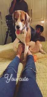 Meghna Kaur feet photo 9