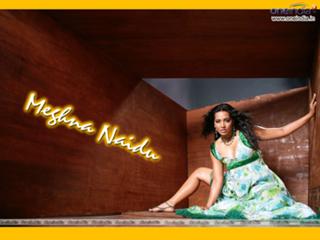 Meghna Naidu feet photo 4