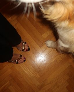 Megi Pojani feet photo 10