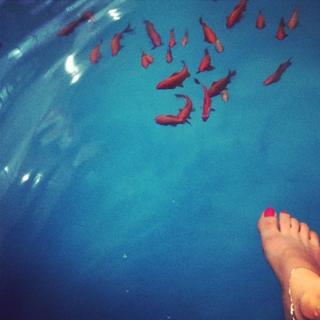 Mehraveh Sharifinia feet photo 1