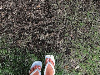 Mehtap Algül feet photo 17