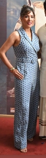 Mehwish Hayat feet photo thumbnail