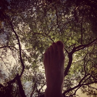 Mel Fronckowiak feet photo 6