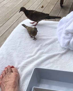 Mel Harris feet photo 4