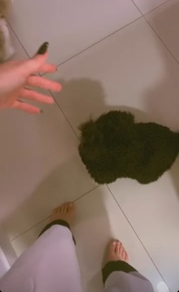 Mel Maia feet photo thumbnail
