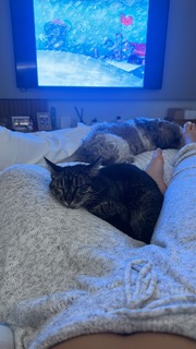 Mel Maia feet photo thumbnail