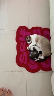 Mel Maia feet photo thumbnail