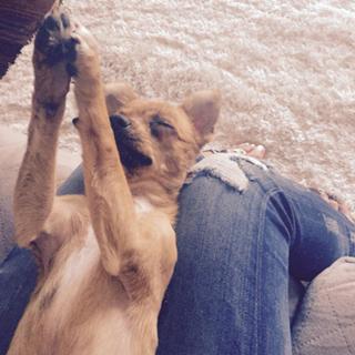 Melanie Iglesias feet photo thumbnail