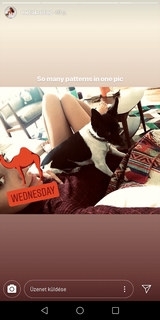 Melia Kreiling feet photo 18