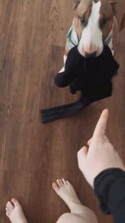 Melina Juergens feet photo 3