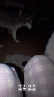 Melina Juergens feet photo 1