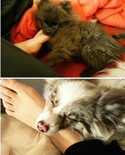 Melina Perez feet photo thumbnail