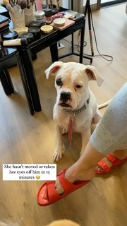Melissa Barrera feet photo thumbnail