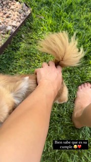 Melissa Barrera feet photo thumbnail