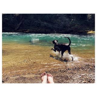 Melissa Benoist feet photo thumbnail