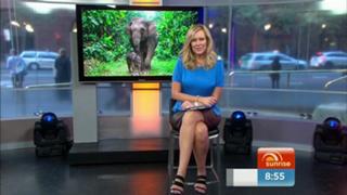 Melissa Doyle feet photo 7