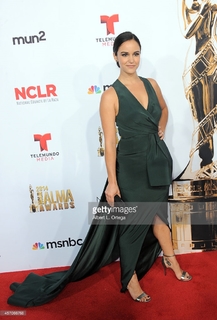 Melissa Fumero feet photo thumbnail