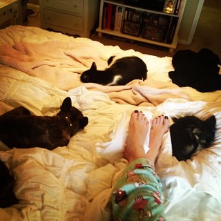 Melissa Gilbert feet photo thumbnail