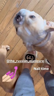 Melissa Gorga feet photo thumbnail