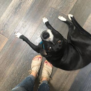 Melissa Joan Hart feet photo thumbnail