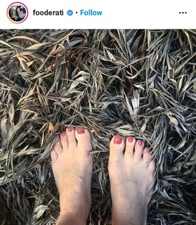 Melissa Leong feet photo 1