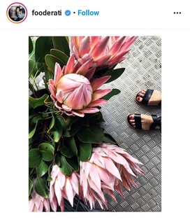 Melissa Leong feet photo 2