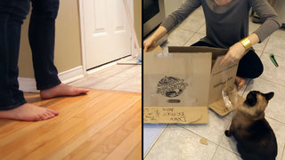 Melissa Maker feet photo 2