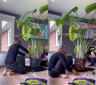 Melissa Maker feet photo 6