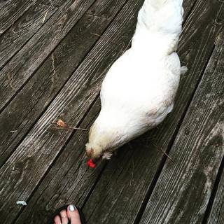 Melissa Ponzio feet photo 17