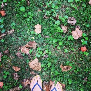 Melissa Ponzio feet photo 8