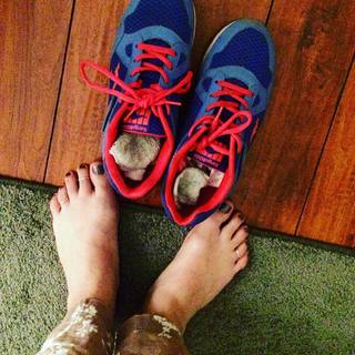 Melissa Ponzio feet photo 7