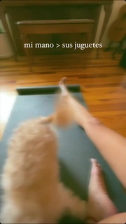 Melissa Robles feet photo 15