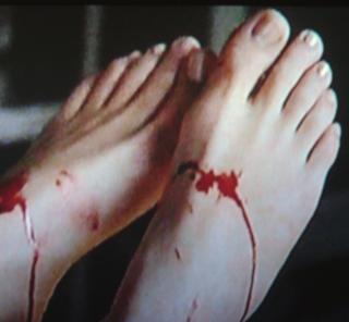 Melissa Sagemiller feet photo 12