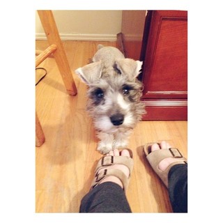 Melissa Villaseñor feet photo thumbnail