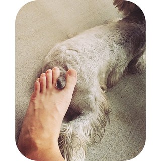 Melissa Villaseñor feet photo thumbnail